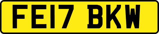 FE17BKW