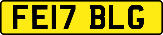 FE17BLG