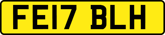 FE17BLH