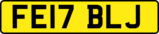 FE17BLJ