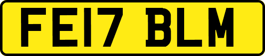 FE17BLM