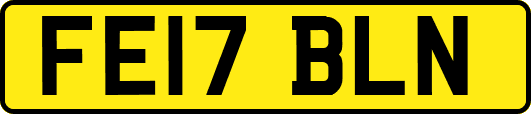 FE17BLN