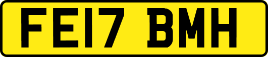 FE17BMH