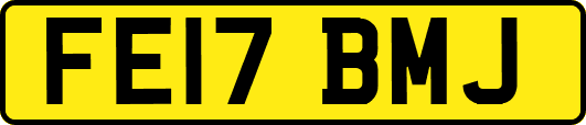 FE17BMJ