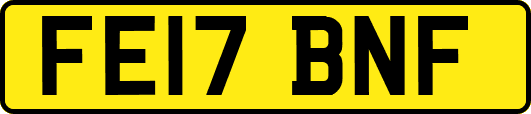 FE17BNF