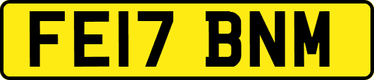 FE17BNM