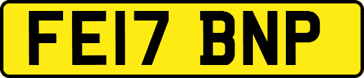 FE17BNP