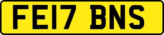 FE17BNS