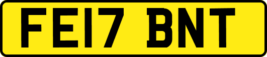 FE17BNT