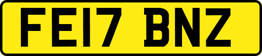 FE17BNZ