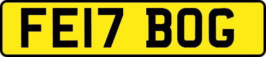 FE17BOG