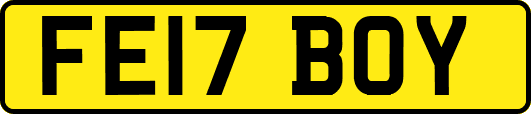 FE17BOY