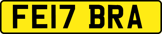 FE17BRA