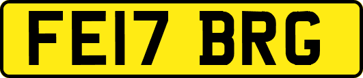FE17BRG
