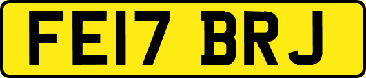 FE17BRJ
