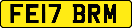 FE17BRM