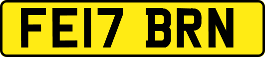 FE17BRN