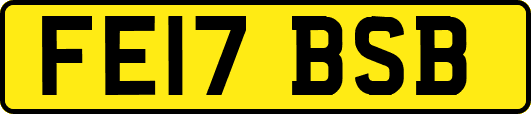 FE17BSB