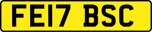 FE17BSC