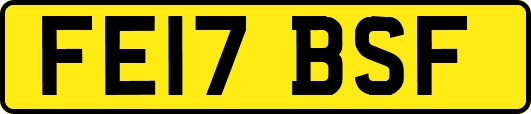 FE17BSF