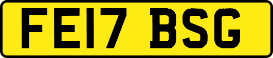 FE17BSG