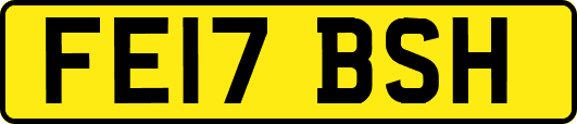 FE17BSH