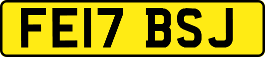 FE17BSJ