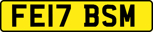 FE17BSM