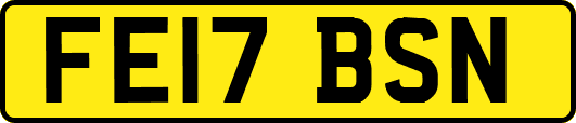 FE17BSN