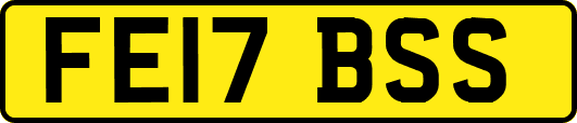 FE17BSS