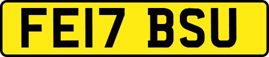 FE17BSU