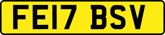FE17BSV