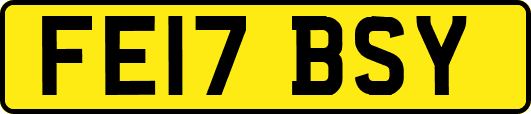 FE17BSY