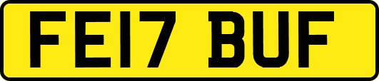 FE17BUF