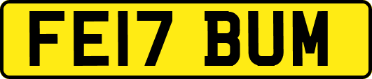 FE17BUM