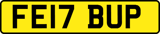FE17BUP