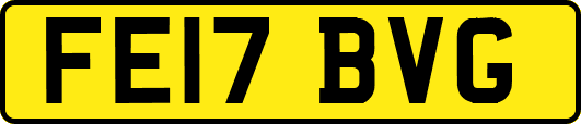 FE17BVG