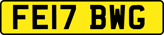 FE17BWG
