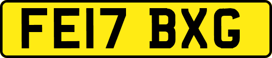 FE17BXG