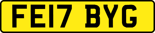 FE17BYG