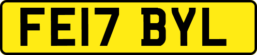 FE17BYL