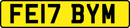 FE17BYM
