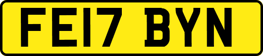 FE17BYN