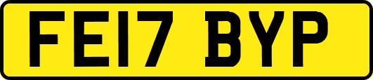 FE17BYP