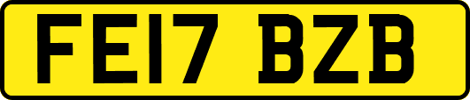 FE17BZB