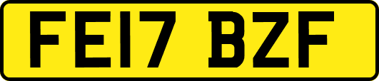 FE17BZF