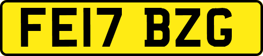 FE17BZG
