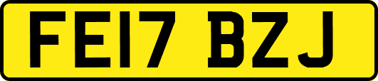 FE17BZJ