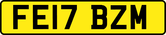 FE17BZM