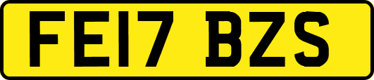 FE17BZS